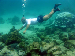 Buscando corales