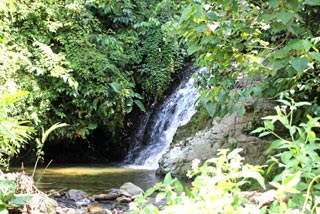 Pequeña cascada del río Sungai Bohorok