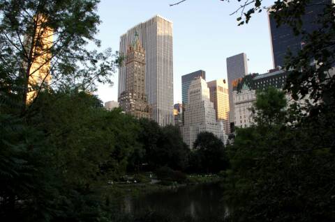 Edificios desde Central Park